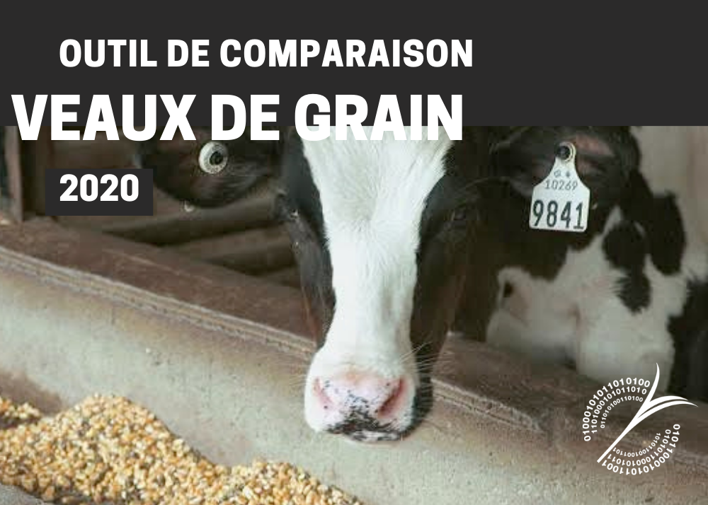 Outils : OUTIL DE COMPARAISON - VEAUX DE GRAIN - 2020